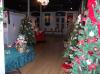 Festival of Trees
