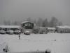 Snow on Camano