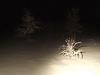 Snowfall