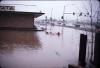 Flood
