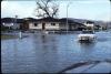 Flood