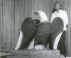 Abe Curry's Sandstone Eagle