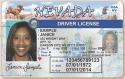 New Driver's License