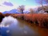 Carson River 2010