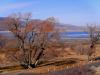 Washoe Lake