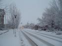 Carson Street Snow