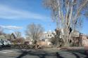 Carson City Tree Removal
